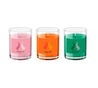 UNITED COLORS OF BENETTON. - SET 3 PZS VELAS (TARTA DE ZANAHORIA + VAINILLA + CANELA) 65G