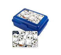 United Labels Harry Potter Hedwig - Fiambrera con divisor azul