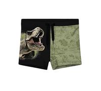 United Labels Jurassic World bañador Tipo Shorts para niño, Verde/Negro, Talla 134/140