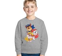 United Labels Paw Patrol Sudadera para niños - Jersey para niños Gris (DE/NL/SE/PL, Numeric, 98, 104, Regular, Grey)