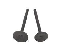 Universal Motorcycle Intake And Valves For With 110cc 125cc 140cc 150cc Motocross ATV Quad Bikes(For 120 to 150cc)