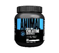 Universal Nutrition Animal Creatine Powder (500g) Unflavoured - Creatine
