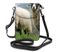 Universal Pictures Snowman, The - DVD