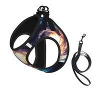 Universe Milky Way Galaxy Print - Juego de correa ajustable para gatos y perros, chaleco de malla suave y transpirable con diseño reflectante, correa a prueba de fugas para mascotas pequeñas