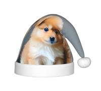 Unkhtt Pomeranians Puppies and Point 1 Print - Sombrero de elfo de Navidad para niños y niñas, regalo de Año Nuevo para Navidad, vacaciones, Papá Noel