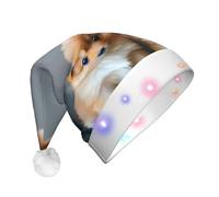 Unkhtt Pomeranians Puppies And Point 1 Print - Sombrero de Navidad LED para hombre y mujer, accesorio de fiesta festiva de Navidad para Año Nuevo y Navidad