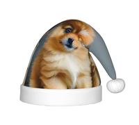 Unkhtt Pomeranians Puppies and Point Print Boys Girls Christmas Elf Hat Festive New Year for Xmas Holiday Santa Hats Gift