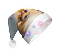 Unkhtt Pomeranians Puppies And Point Print - Sombrero de Navidad LED para hombre y mujer, accesorio de fiesta festiva de Navidad para Año Nuevo y Navidad