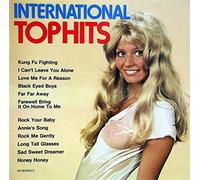 Unknown Artist - International Tophits