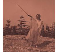 Unknown Mortal Orchestra - II [VINYL] [Vinilo]
