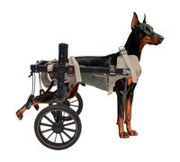 unkonwcy Silla de ruedas para mascotas, silla de ruedas para perros, silla de ruedas ajustable para mascotas, sillas de ruedas de 2 ruedas, patas traseras, rehabilitación, mascotas 65 kg/143,3 kg