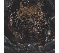 Unleashed - Shadows in the Deep [Vinilo]