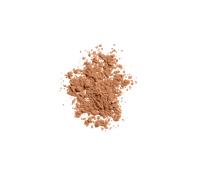 Unlimited Long Lasting Matte Loose Powder 06
