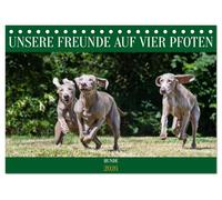 Unsere Freunde auf vier Pfoten - Hunde (Tischkalender 2026 DIN A5 quer), CALVENDO Monatskalender: 13 traumhafte Fotos von kleinen und großen Rassehunden begleiten Sie durch das Jahr