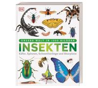 Unsere Welt in 1000 Bildern. Insekten: Käfer, Spinnen, Schmetterlinge und Skorpione. Die Welt der Gliederfüßer einfach erklärt. Für Kinder ab 8 Jahren