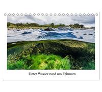 Unter Wasser rund um Fehmarn (Tischkalender 2026 DIN A5 quer), CALVENDO Monatskalender: Kalender mit 13 Bilder der Unterwasserwelt in der Ostsee rund um Fehmarn.