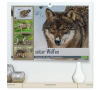 unter Wölfen (hochwertiger Premium Wandkalender 2026 DIN A2 quer), Kunstdruck in Hochglanz: Wölfe ein Jahr mit der Kamera begleitet
