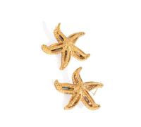 UNTERING Pendientes de acero inoxidable inspirados en el mar, collar con diseño de concha de estrella de mar, joyería ligera para uso diario, colección de joyas temáticas multiusos, talla única, como