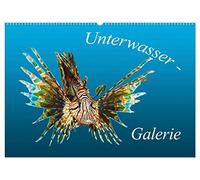 Unterwasser-Galerie (Wandkalender 2026 DIN A2 quer), CALVENDO Monatskalender: Sehr nah - Sehr intensiv - Leben im Meer