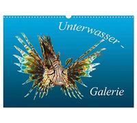 Unterwasser-Galerie (Wandkalender 2026 DIN A3 quer), CALVENDO Monatskalender: Sehr nah - Sehr intensiv - Leben im Meer