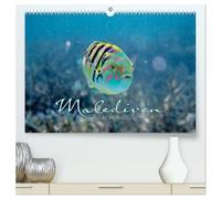 Unterwasserwelt der Malediven II (hochwertiger Premium Wandkalender 2026 DIN A2 quer), Kunstdruck in Hochglanz: Die vielfältige und faszinierende Unterwasserwelt der Malediven.