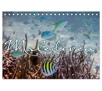 Unterwasserwelt der Malediven III (Tischkalender 2026 DIN A5 quer), CALVENDO Monatskalender: Die vielfältige und faszinierende Unterwasserwelt der Malediven.