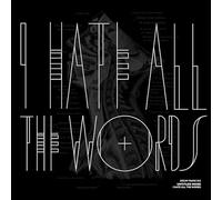 Untitled Noise - Decay Music n.8: I Hate All the Words [Vinilo]