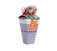 UO Kit Ramo Mamá Te Quiero - Regalo Original para Mamá con Calcetines y Mini Maceta - Pack Regalo Día de la Madre - Calcetines 36-41 + Macetero Decorativo