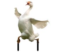 Uonguon Cute Garden Duck Decor, Yard Duck Sculpture Stake, Duck Ornament for Lawn and Courtyard, Decorative Garden Statues for Home, Outdoor Garden Stake Ornaments for Patio, Yard, Lawn