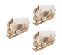Uonlytech 3 Piezas Modelo de Calavera de Gato de Resina