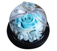 Uonlytech Adorno de Rosa Eterna en Copa de Cristal Flor Preservada Pequeña Decoración Romántica para San Valentín Obsequio Decorativo para Hogar y Oficina Color Aleatorio Color Aleatorio