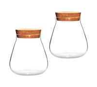 Uonlytech Frascos de Vidrio Tapón de Corcho, 2 Unidades, Jarrones Transparentes para Micropaisajes y Cultivo Hidropónico, Macetas Decorativas para Plantas Suculentas y Terrarios DIY