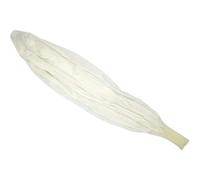 Uonlytech Globo Meteorológico Blanco de Látex Gigante de 120 Pulgadas para Decoración de Fiesta y Shower Diseño Redondo y Material Resistente