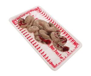 Uonlytech Juguete de Fiambrera de Órgano Falso para Halloween, Modelo Realista de Intestino Delgado de Plástico Liviano, Accesorio Anatómico Compacto para Bromas y Decoración Terrorífica