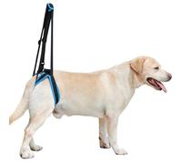 UOSIA Arnés de elevación para Perros para Patas traseras, Eslinga Suave y Transpirable para Patas traseras, Soporte Ajustable para Caminar, transportador de Perros para Subir escaleras