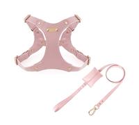 UOSIA Arnés y Correa Ajustables de Cuero Suave para Perros pequeños y medianos. Arnés cómodo sin tirones con 2 Clips para Correa, Ideal para adiestrar y pasear a tu Mascota