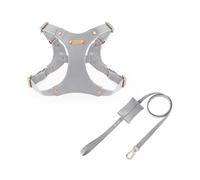 UOSIA Arnés y Correa Ajustables de Cuero Suave para Perros pequeños y medianos. Arnés cómodo sin tirones con 2 Clips para Correa, Ideal para adiestrar y pasear a tu Mascota