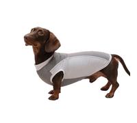 UOSIA Chaleco de enfriamiento para Perros Dachshund para Perros pequeños Chihuahua Corgi Camiseta sin Mangas de Verano con protección UV Camiseta para el Sol para Cachorros para Mini Dachshund
