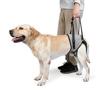 UOSIA Eslinga para Perros para Patas traseras, arnés de Soporte para Cadera, Correas Acolchadas Ajustables y Transpirables, Eslinga de recuperación y Soporte para Mascotas