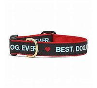 Up Country Collar Best Dog Ever (1 pulgada de ancho, XL (18-24 pulgadas)