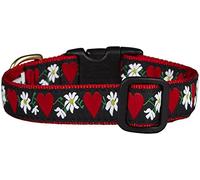 Up Country HFL-C-M Hearts and Flowers - Collar para Perro (Ancho: 1 Pulgada, Talla M)