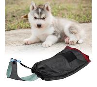 UPALDHOU Cinturón Protector para Silla de Ruedas para Perros Discapacitados y Paralizados para Patas Traseras, Tela de Malla Transpirable, Proyecto Auxiliar Antiarañazos para Ayudas para el (S)