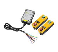 UPALDHOU Control Remoto Industrial Inalámbrico Controlador Remoto de Grúa de Elevación Impermeable para Grúas Puente, Señal Fuerte para Grúas Torre, Material ABS (ABS 3)