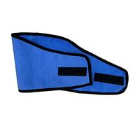 UPKOCH Bandana Refrescante para Perros Pañuelo Triangular de Verano para Mascotas Collar de Enfriamiento y Transpirable para Mantener Días Calurosos S Azul con Puntos