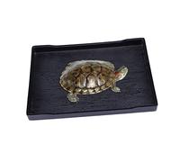 UPKOCH Comedero para Tortugas Grande Apto como Bebedero y Plato De Comida para Reptiles Cuidado De Mascotas Terrarios