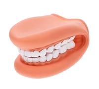 UPKOCH Figura de Dientes para Enseñanza Material Pvc, Aprendizaje Interactivo y Demostración de Técnicas de Cepillado para Estudiantes en Escuelas