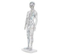 UPKOCH Modelo y Identificación Clara Blanco de Acupuntura de Plástico Cuerpo Humano para Gestión de Salud Adecuado para Profesionales y Aulas de Formación en Acupuntura