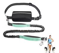 Upliftjoys Hands-Free Dog Leash with Zipper Pouch - Adjustable Bungee Waist Leash for Running & Walking, Dual Padded Handles, Reflective Design - Fits Small to Large Dogs (Mint Green,Single Cord)