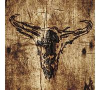 Upon a Burning Body - Southern Hostility [Vinilo]