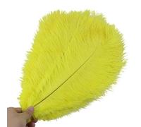 Uposao 10 plumas de avestruz naturales, 30-35 cm, plumas de avestruz versátiles para manualidades, accesorios para sombreros, hogar, decoración de fiesta de boda